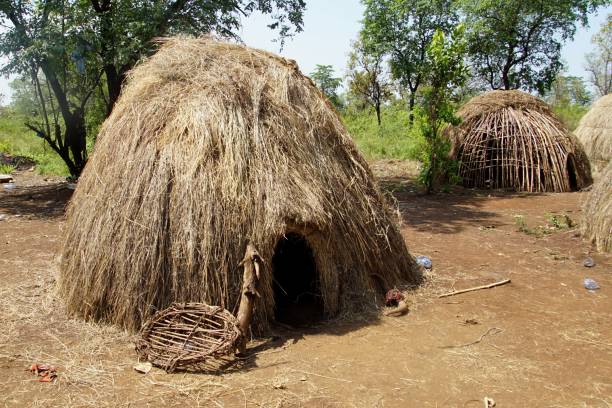 istock Close Up of a Mursi Tribe Hut 1215018513