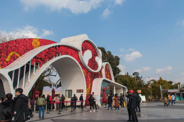 chengdu research base of giant panda - zoo sign entrance the imagens e fotografias de stock