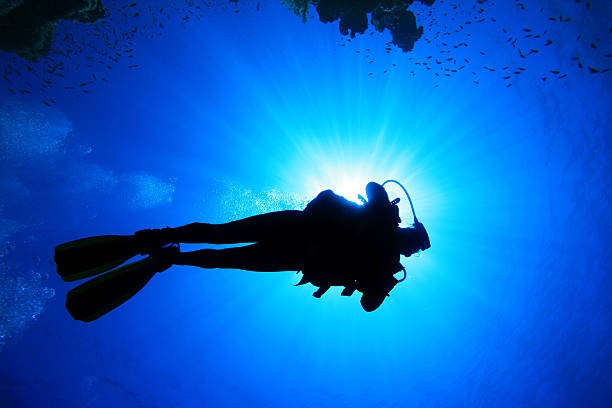 istock Silhouette of Scuba Diver 121502240