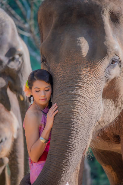 istock Beautiful woman dressed in Thai cloth with an elephant. 1215024774
