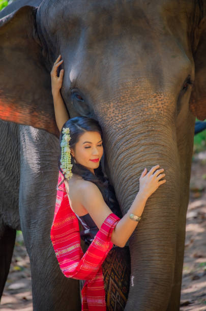 istock Beautiful woman dressed in Thai cloth with an elephant. 1215024814