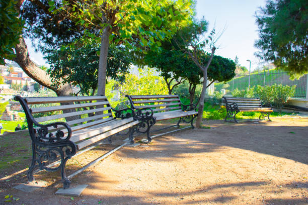 Three benches in a park on a sunny day in athens