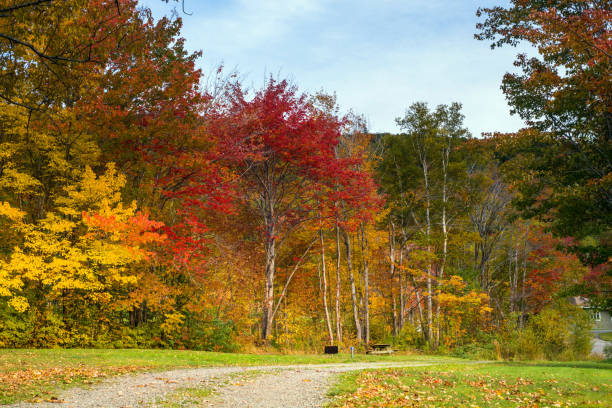 istock Autumn comes to Nova Scotia 1215031059