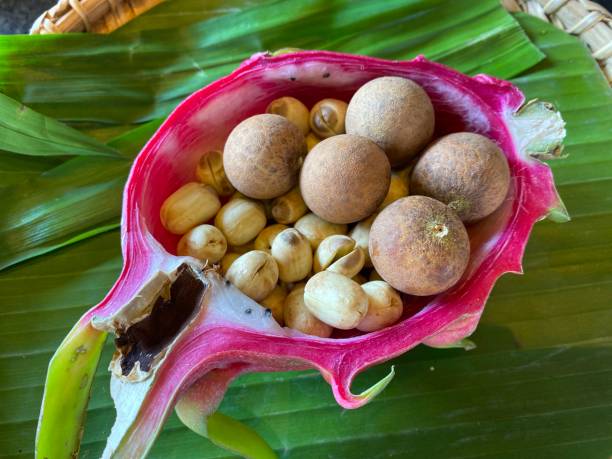 istock Lotus seeds and longan fruit 1215034039