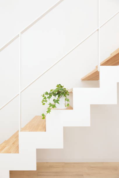 istock Flower pot decorate on staircase 1215037715