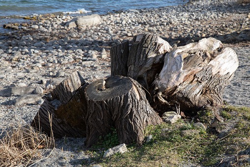 Destroyed pier.