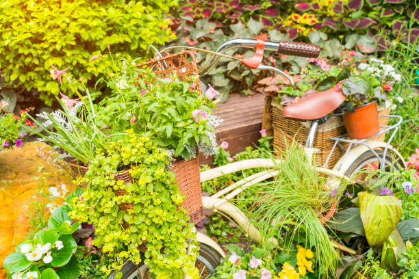 istock Multicolored fresh flower bouquets in baskets on metallic bicycle 1215042990