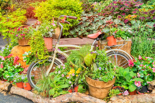 istock Multicolored fresh flower bouquets in baskets on metallic bicycle 1215043738