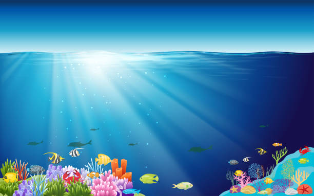 Web colorful coral reef and colorful fish at underwater in the ocean underwater stock illustrations