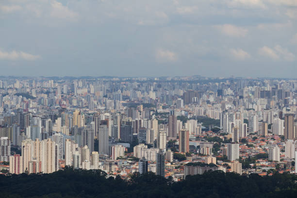 Center seen from Pedra Grande sao paulo, sp, brazill - february 15, 2020: north and central areas of the city of São Paulo seen in zoom from Pedra Grande, the biggest attraction of the Cantareira State Park, which has many visitors on weekends. floresta stock pictures, royalty-free photos & images