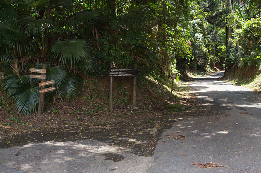 sao paulo, sp, brazil - february 15, 2020: signs indicating the trails of cantareira state park, which has kilometers of climb in the middle of the atlantic forest.