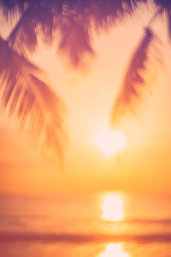 Blur beautiful nature green palm leaf on tropical sunset beach with bokeh light wave abstract background. Copy space of summer vacation and business travel concept. Vintage tone filter color style.