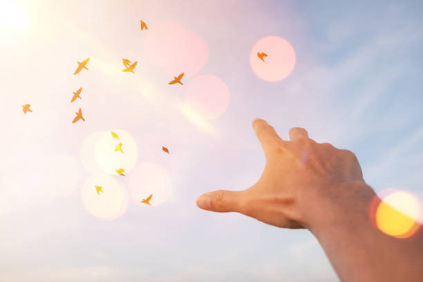 istock Man raise open hand up on sunset sky with birds fly abstract background. 1215048808