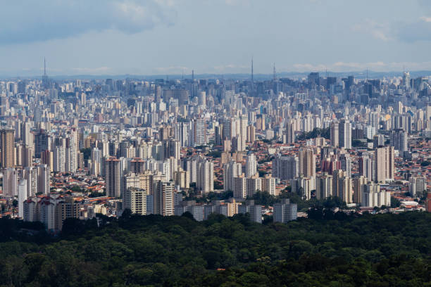 Paulista spike seen from Pedra Grande sao paulo, sp, brazil - february 15, 2020: Espigao da paulista seen from pedra grande, the biggest attraction of the cantareira state park, which receives many visitors on weekends. floresta stock pictures, royalty-free photos & images