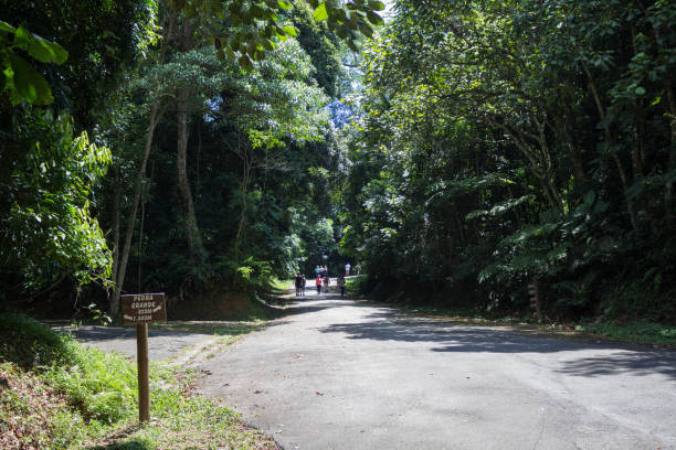 Great Stone Trail sao paulo, sp, brazil - february 15, 2020: trails that give access to Pedra Grande (Big Rock), the biggest attraction of the Cantareira State Park, which has kilometers of trails in the middle of the Atlantic Forest. floresta stock pictures, royalty-free photos & images