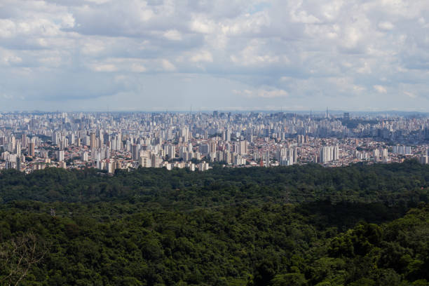 Panoramic view of São Paulo from Pedra Grande sao paulo, sp, brazil - february 15, 2020: panoramic view of the city from Pedra Grande, the biggest attraction of the Cantareira State Park, which receives many visitors on weekends. floresta stock pictures, royalty-free photos & images