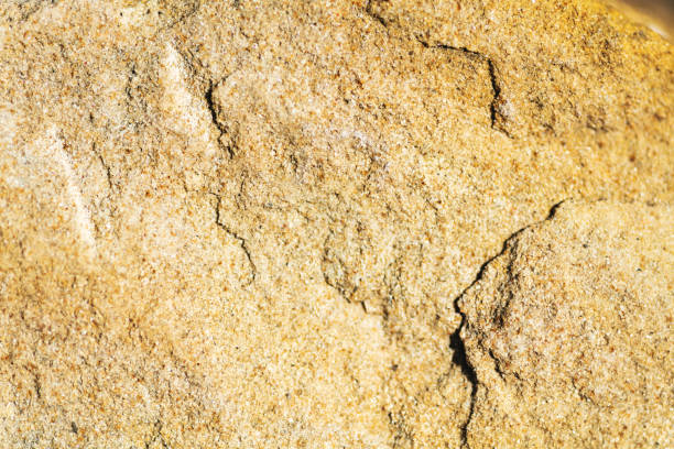 Digital Wallpaper Environmental Backgrounds and Textures and from Nature Sandstone Surface (Shot with Canon 5DS 50.6mp photos professionally retouched - Lightroom / Photoshop - original size 5792 x 8688 downsampled as needed for clarity and select focus used for dramatic effect)