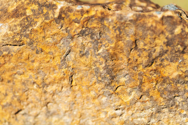 Digital Wallpaper Environmental Backgrounds and Textures and from Nature Sandstone Surface (Shot with Canon 5DS 50.6mp photos professionally retouched - Lightroom / Photoshop - original size 5792 x 8688 downsampled as needed for clarity and select focus used for dramatic effect)