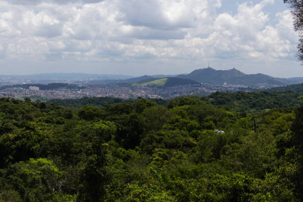 Jaraguá Peak seen from Pedra Grande sao paulo, sp, brazil - february 15, 2020: view of the peak of Jaraguá, Brasilândia and Pirituba from the Pedra Grande viewpoint, in the Cantareira State Park. floresta stock pictures, royalty-free photos & images