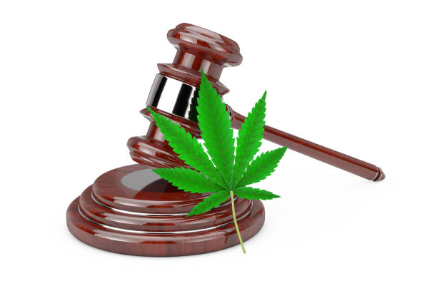 istock Green Cannabis Leaf with Red Wooden Judge Gavel. 3d Rendering 1215055767