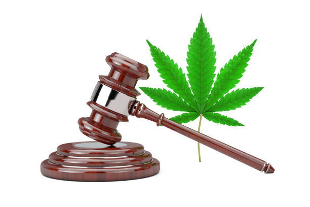istock Green Cannabis Leaf with Red Wooden Judge Gavel. 3d Rendering 1215055819
