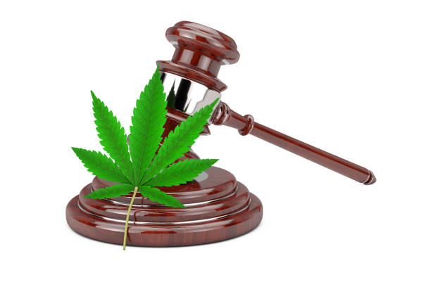 istock Green Cannabis Leaf with Red Wooden Judge Gavel. 3d Rendering 1215055977