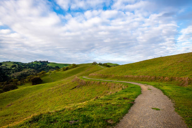 istock Del Valle Regional Park at Dawn 1215056556