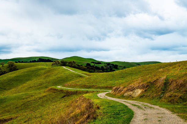 istock Del Valle Regional Park at Dawn 1215056615