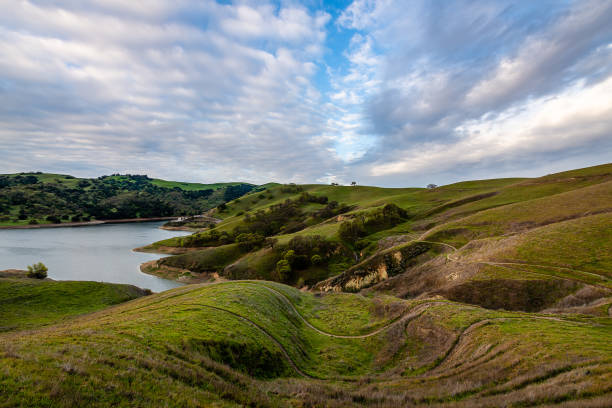 istock Del Valle Regional Park at Dawn 1215056976