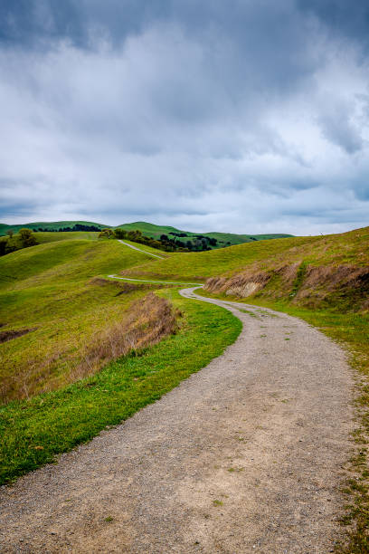 istock Del Valle Regional Park at Dawn 1215057119