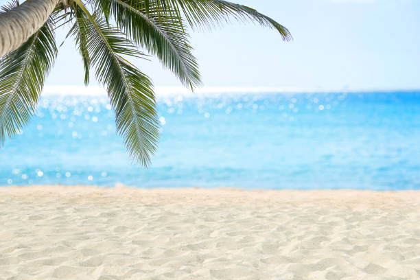 istock Sand beach and tropical sea. 1215059932