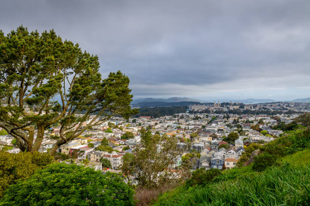 stormy morning de tank hill - famous place san francisco county california san francisco bay photos et images de collection