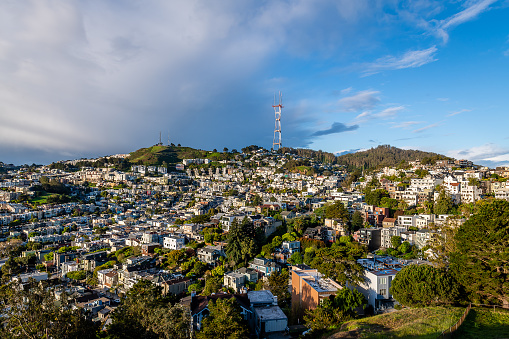 downtown san francisco with city neighborhoods and sky scrapers near long roads with traffic and ocean and blue and white sky background midday with no clouds and folliage and tree foreground