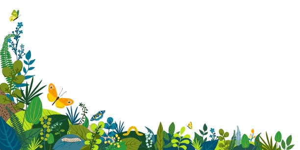 Beautiful floral background, corner frame. Green leaves, colorful flowers, caterpillar and butterflies. Spring, summer corner for social network, invitation, wedding, birthday. Vector illustration. Beautiful floral background, corner frame. Green leaves, colorful flowers, caterpillar and butterflies. Spring, summer corner for social network, invitation, wedding, birthday. Vector illustration yard grounds illustrations stock illustrations