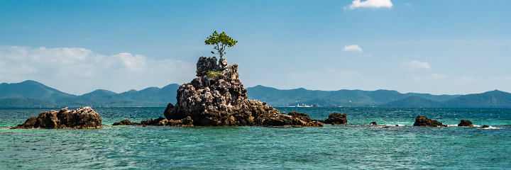 A lone tree on a small rocky island in the Andaman sea off the coast of Phuket