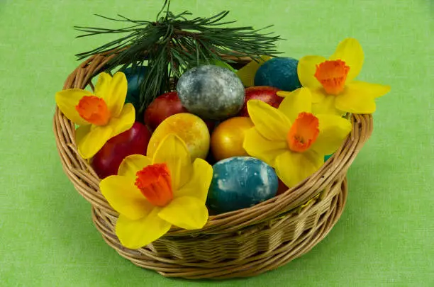 Easter, colored painted eggs in a wicker basket with moss, daffodils and candle on green background