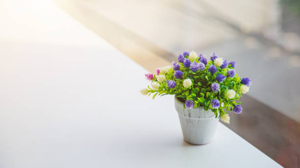 an artificial globe amaranth flower in vase on table with house and green tree blurred background with pastel color tone. - globe amaranth imagens e fotografias de stock