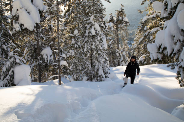 istock Young woman walks along snowy forest path towards sunrise view 1215069253