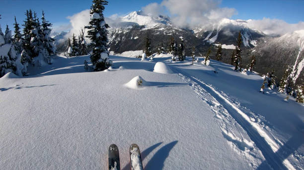 istock First person perspective POV back country skiing down alpine slope 1215069423