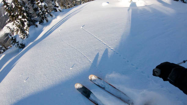istock First person perspective POV back country skiing down alpine slope 1215069424