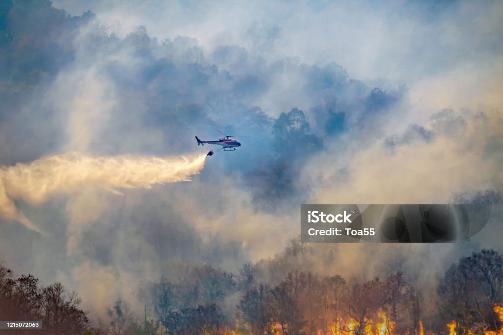 Helicopter dropping water on forest fire Forest Fire Stock Photo