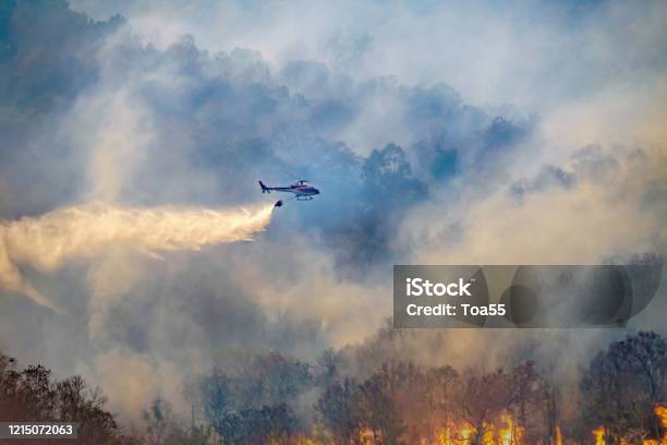 Helicopter Dropping Water On Forest Fire Stock Photo - Download Image Now - Forest Fire, Australia, California