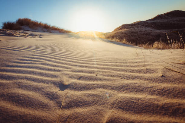 побережье пейзаж остров амрум - amrum summer spring island стоковые фото и изображения