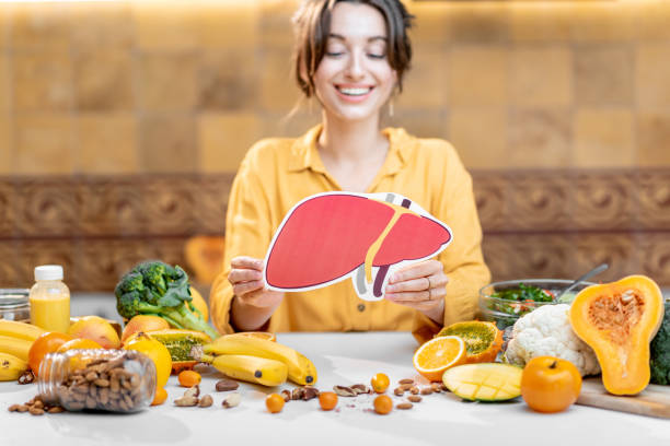 Human liver model and variety of healthy fresh food Woman holding human liver model with variety of healthy fresh food on the table. Concept of balanced nutrition for liver health human liver stock pictures, royalty-free photos & images
