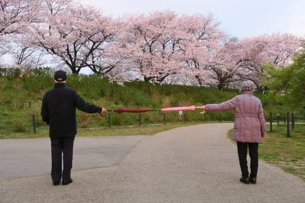 A good example of social distancing to avoid the spread of coronavirus (COVID-19). Two people (a man and a woman) stand apart holding two umbrellas.