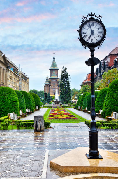 piazza centrale timisoara - church dawn christianity bird foto e immagini stock