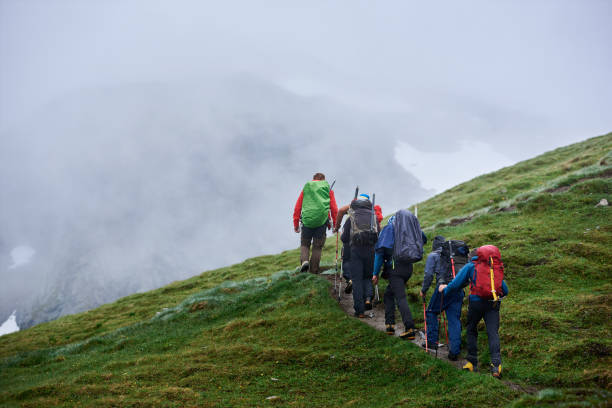 istock Travelers walking on grassy mountain road. 1215088838