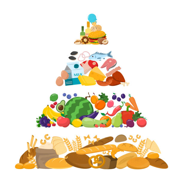 illustrations, cliparts, dessins animés et icônes de vecteur pyramidal alimentaire isolé. pain et céréales - oeuf aliment de base