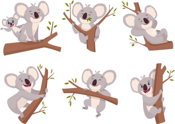 ilustrações de stock, clip art, desenhos animados e ícones de koala bear. wildlife cute furry animal from australia zoo characters cartoon shower symbols vector collection - eucalyptus tree tree australia tropical rainforest