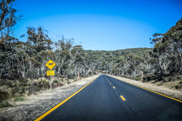 istock Kosciuszko National Park in Australia 1215095003